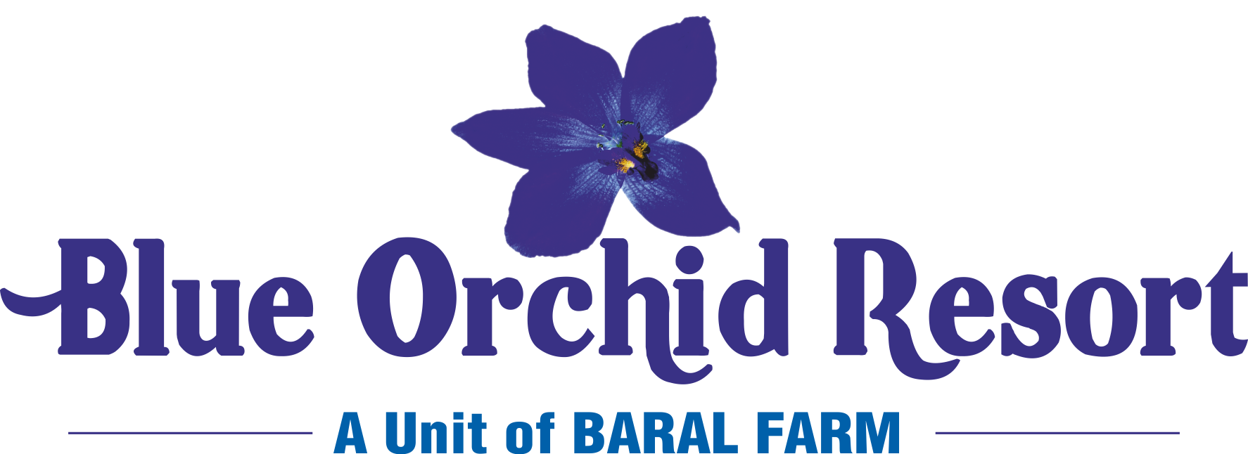 logo1